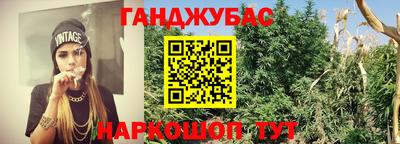 СК Будённовск