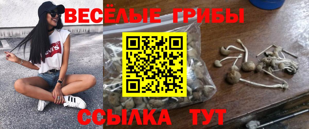 Малоярославец  Галлюциногенные грибы мицелий  Вход с VPN  Галлюциногенные грибы Psilocybine cubensis 