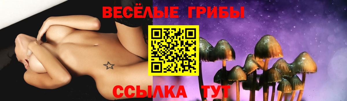 Псилоцибиновые грибы Psilocybine cubensis Малоярославец